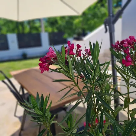 With Private Pool And Yard Hébergement de vacances