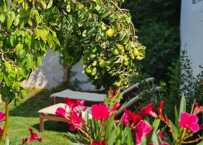 Дом отдыха With Private Pool And Yard