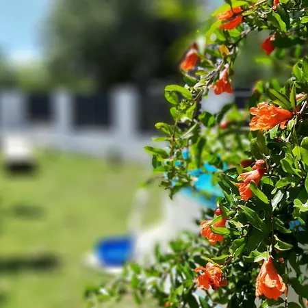 펜션 With Private Pool And Yard Kožino