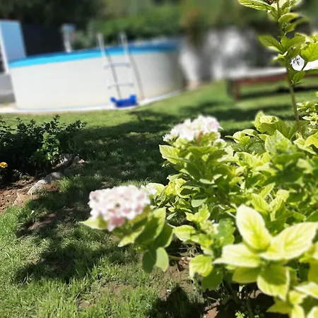 With Private Pool And Yard Сasa de vacaciones