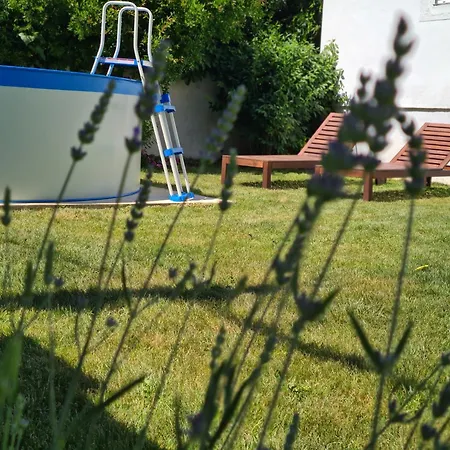 With Private Pool And Yard Kožino