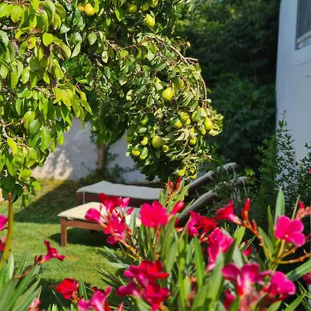 Сasa de vacaciones With Private Pool And Yard